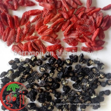 Wild Black Goji Berries en gros